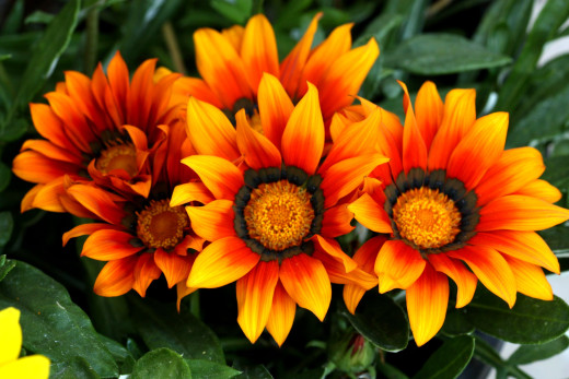 614957 (a): :3200x2133